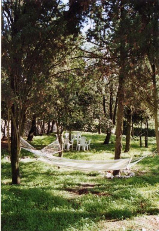 Masseria Murgia Albanese Noci Esterno foto