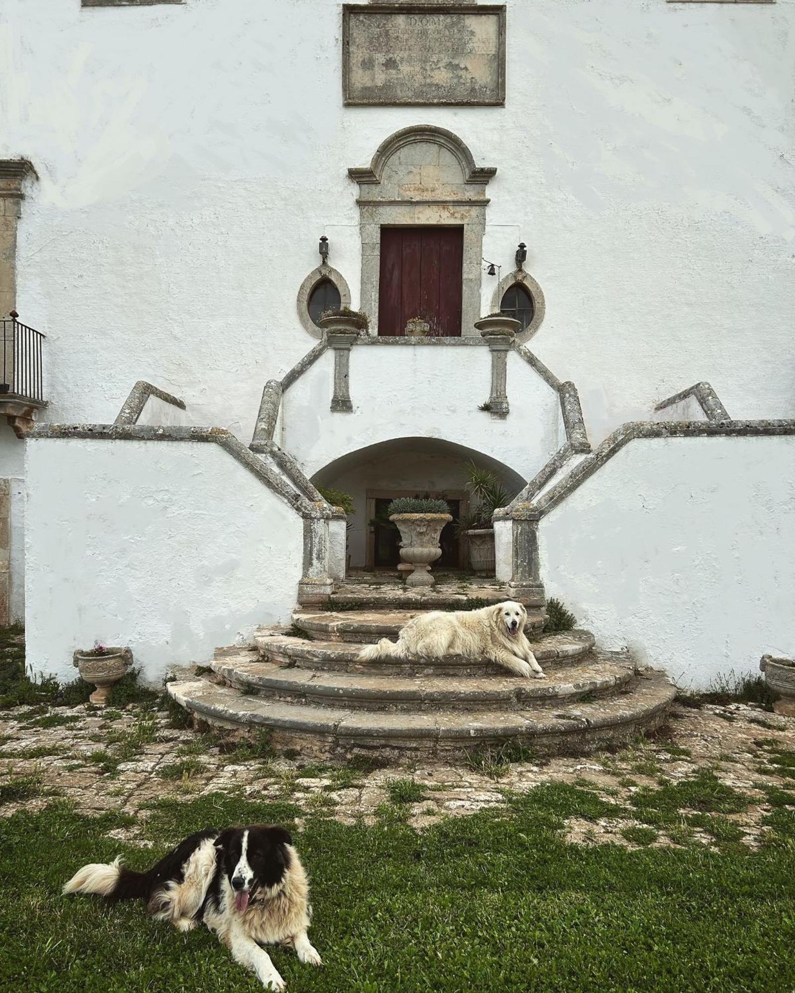 Masseria Murgia Albanese Noci Esterno foto