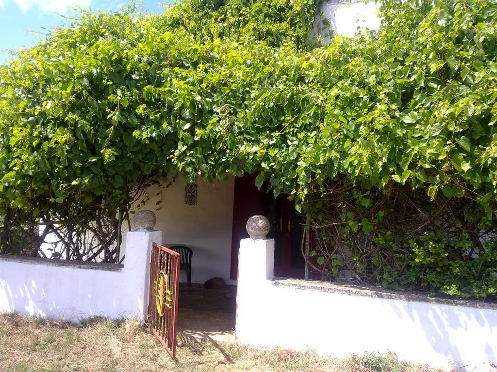 Masseria Murgia Albanese Noci Esterno foto