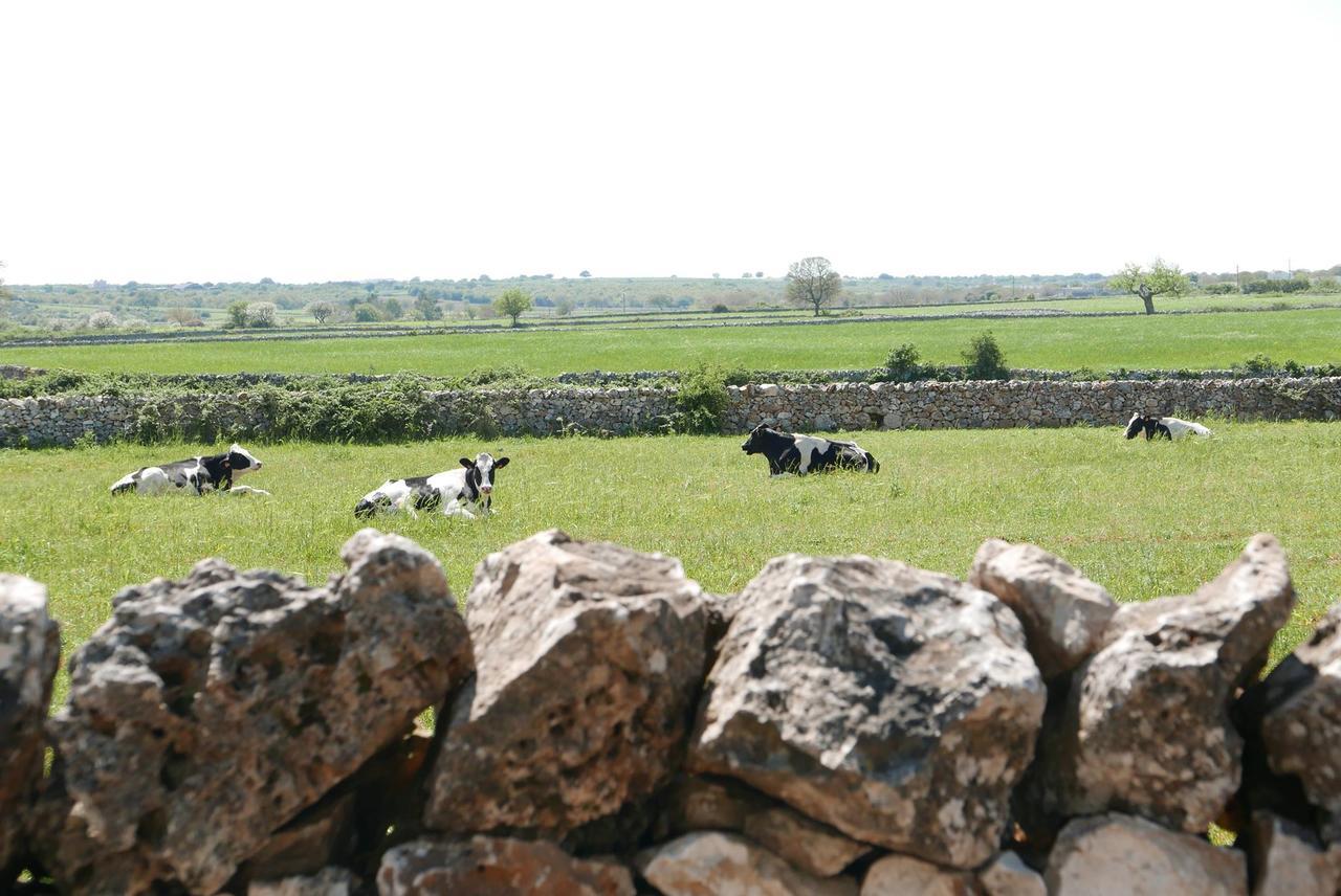 Masseria Murgia Albanese Noci Esterno foto